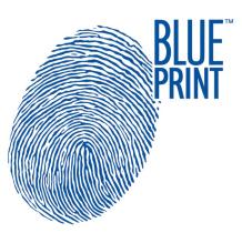 Blue print ADN143118